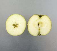 Mother æble